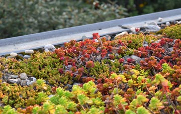 the cost of Chapel Of Ease green roof installation
