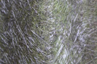 Chapel Of Ease fibreglass roof work